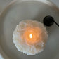Ball of Roses