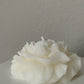 Peony (1pc)