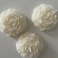 Peony (1pc)