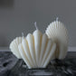 Seashell Set