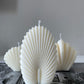 Seashell Set