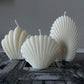 Seashell Set